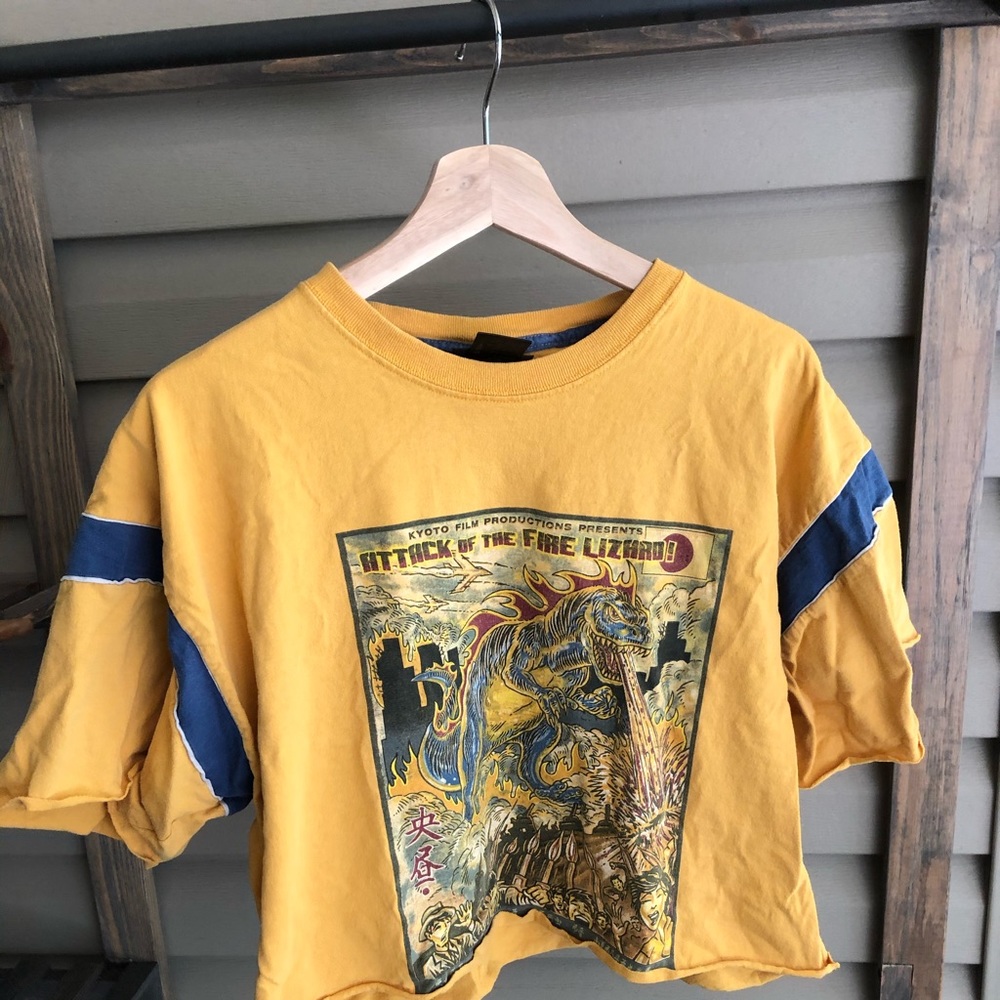 Vintage crop top